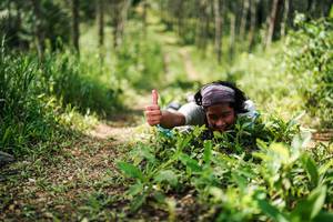 BIB: 
                            <button type="button" onclick="openModal(26293489)" class="btn btn-primary btn-sm float-right btn-popup" data-toggle="modal" data-target=".modal-high-quality">
                        <i class="fas fa-shopping-cart"></i> Add to Cart
                    </button>
                                            <button type="button" onclick="isThisMe(26293489, true)" class="btn btn-success btn-sm float-right btn-popup btn-isme hidden" data-toggle="tooltip" data-placement="bottom" title="นี่คือรูปของคุณใช่ไหม คลิกที่นี่เพื่อเอาเข้าอัลบั้ม">
                        <i class="fas fa-plus"></i> Add to album
                    </button>
                    <button type="button" onclick="isThisMe(26293489, false)" class="btn btn-warning btn-sm float-right btn-popup btn-isnotme hidden">
                        <i class="fas fa-ban"></i> Remove from album
                    </button>